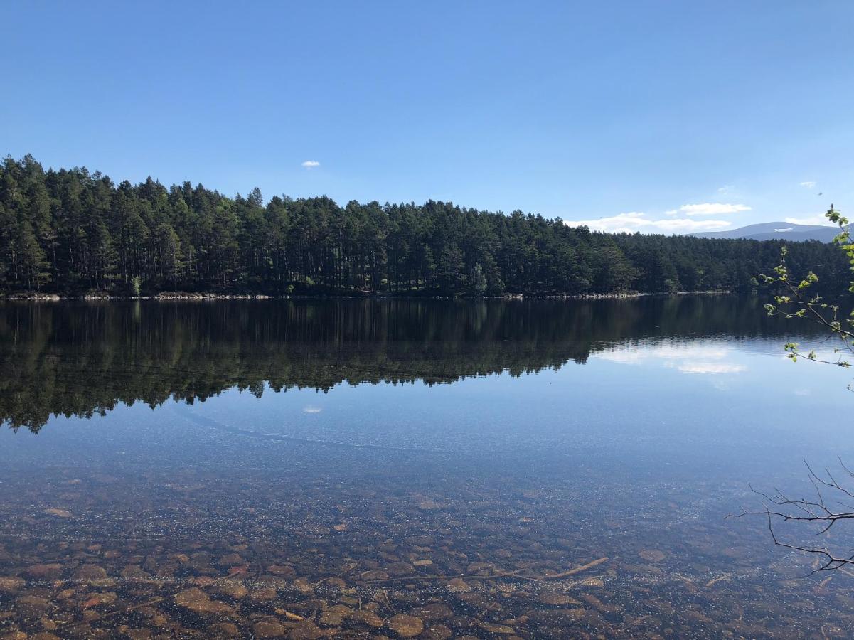 81 The Heathers, Aviemore Holiday Park , Dalfaber Rd Aviemore Ph22 1Px Bagian luar foto