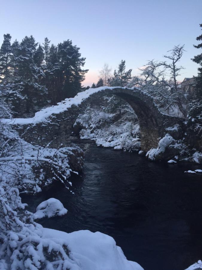 81 The Heathers, Aviemore Holiday Park , Dalfaber Rd Aviemore Ph22 1Px Bagian luar foto